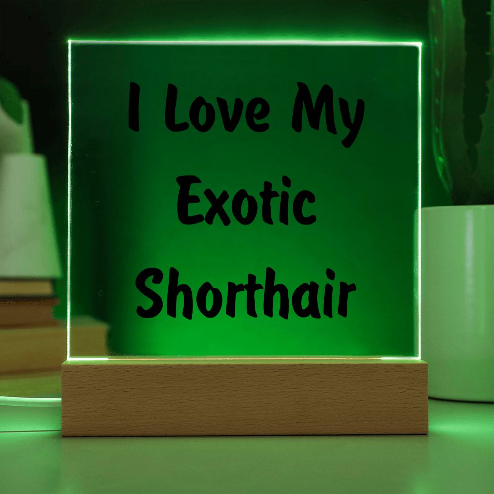 Love My Exotic Shorthair - Square Acrylic Plaque