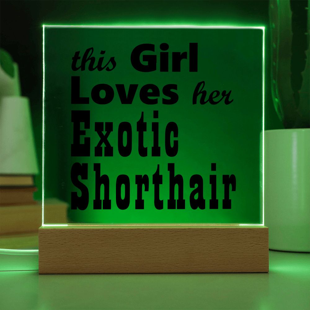 Exotic Shorthair - Square Acrylic Plaque