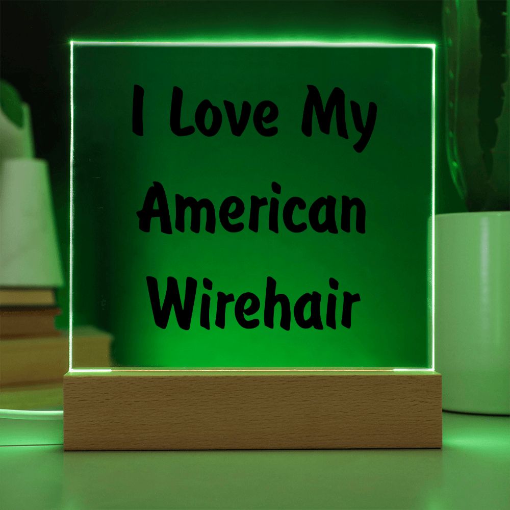 Love My American Wirehair - Square Acrylic Plaque
