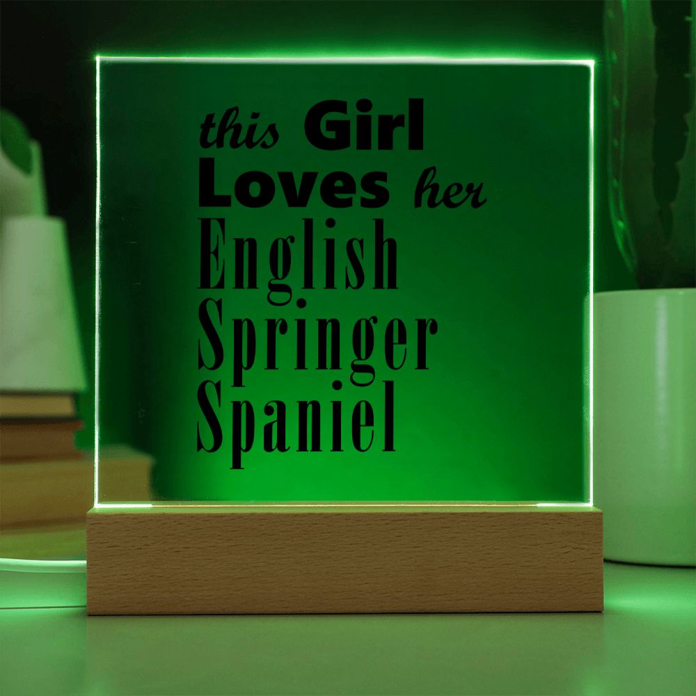 English Springer Spaniel - Square Acrylic Plaque