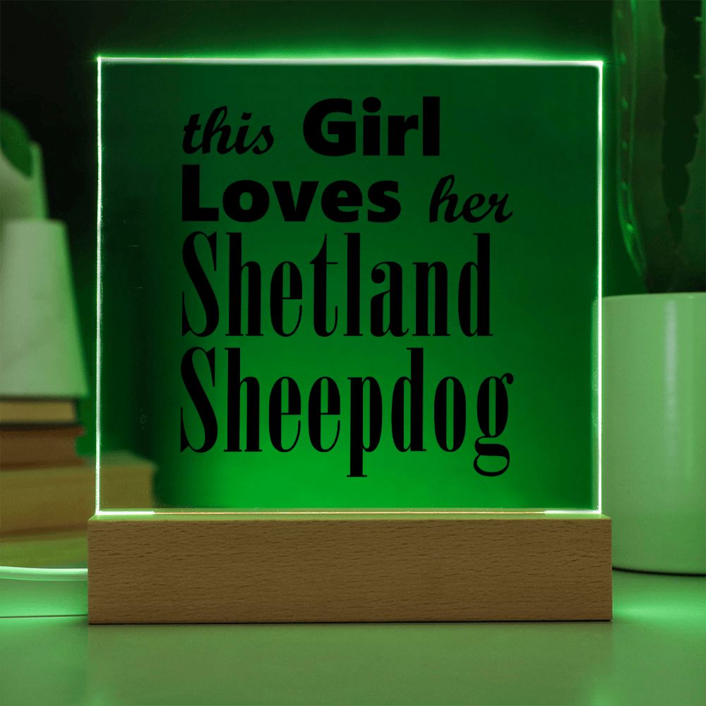 Shetland Sheepdog - Square Acrylic Plaque