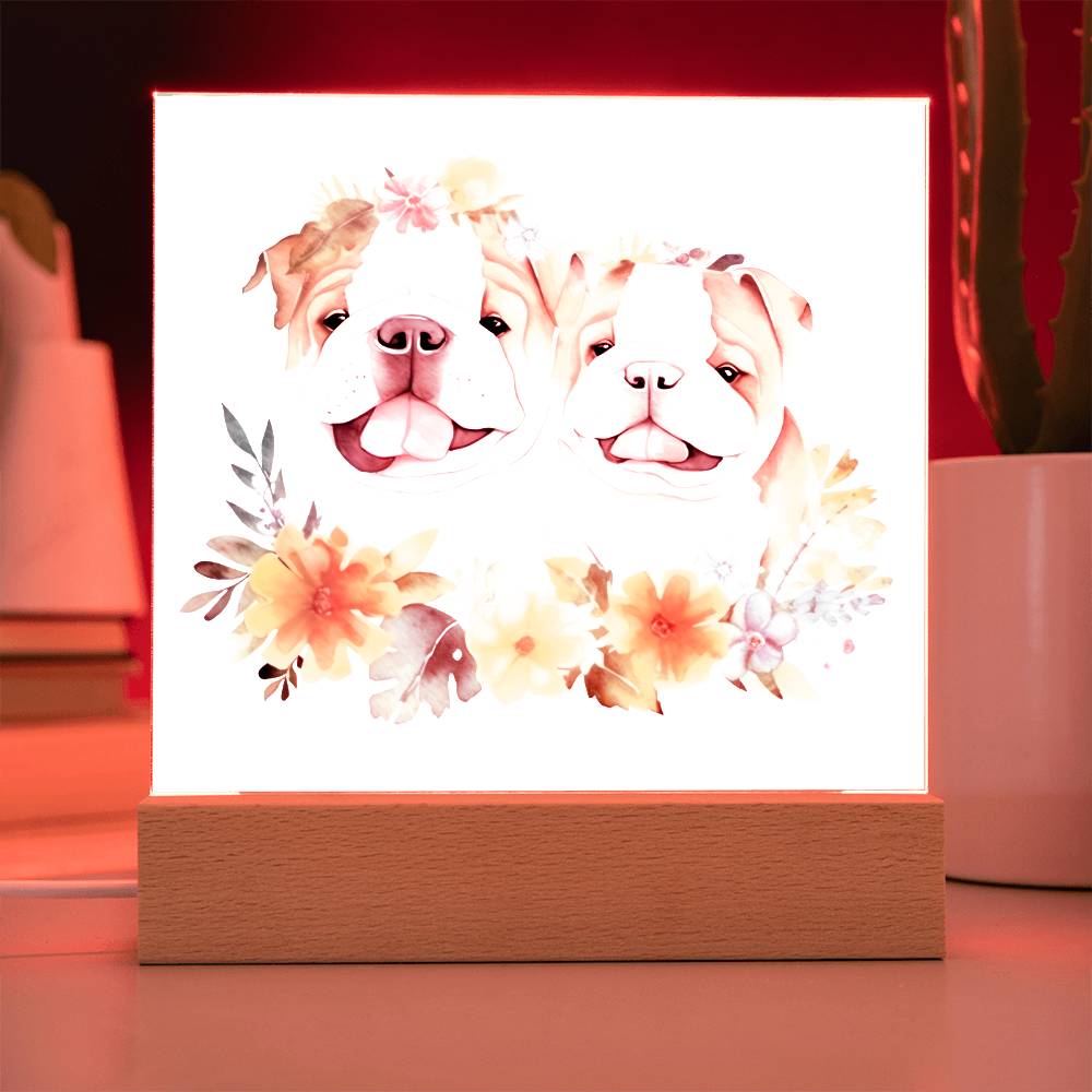Bulldog And Flowers (Watercolor) 02 - Square Acrylic Plaque