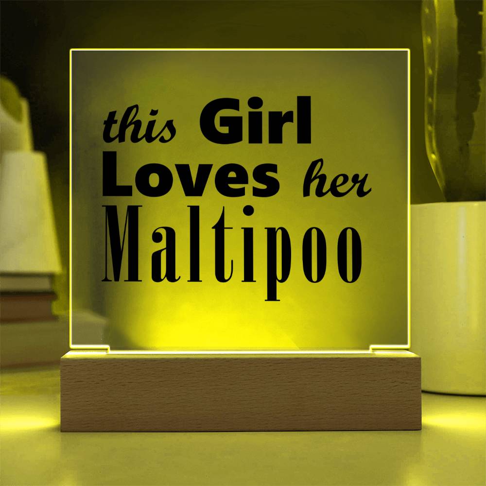 Maltipoo - Square Acrylic Plaque With LED Base
