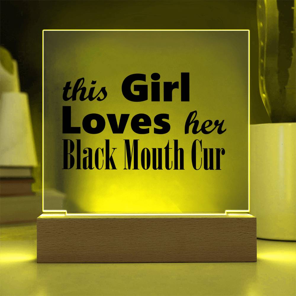 Black Mouth Cur - Square Acrylic Plaque With LED Base