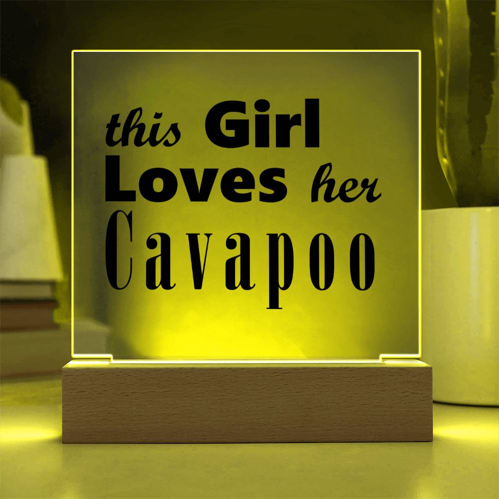 Cavapoo - Square Acrylic Plaque With LED Base
