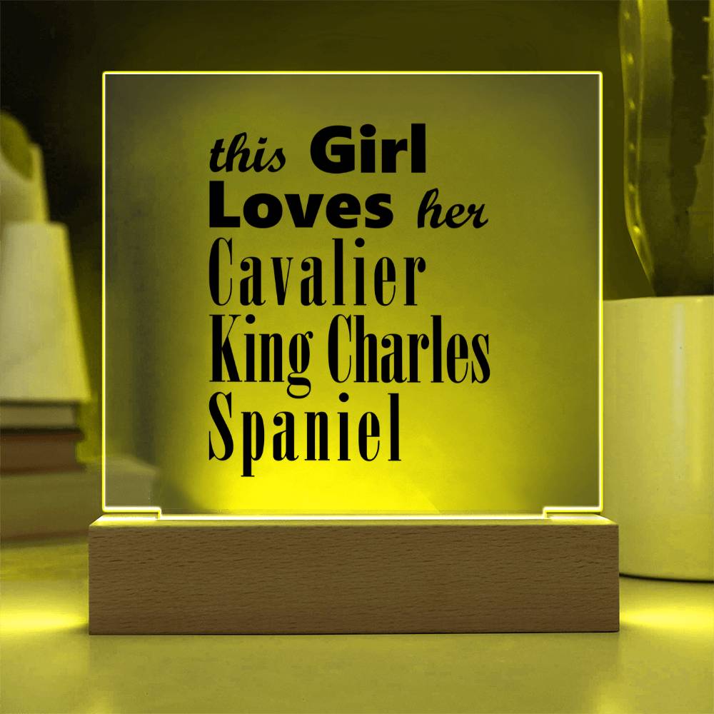 Cavalier King Charles Spaniel - Square Acrylic Plaque With LED Base
