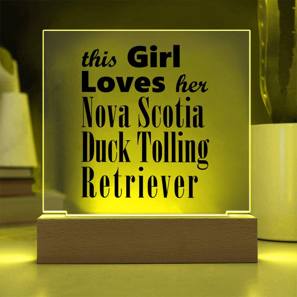 Nova Scotia Duck Tolling Retriever - Square Acrylic Plaque With LED Base