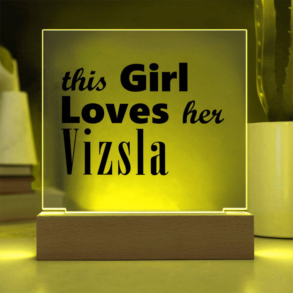 Vizsla - Square Acrylic Plaque With LED Base