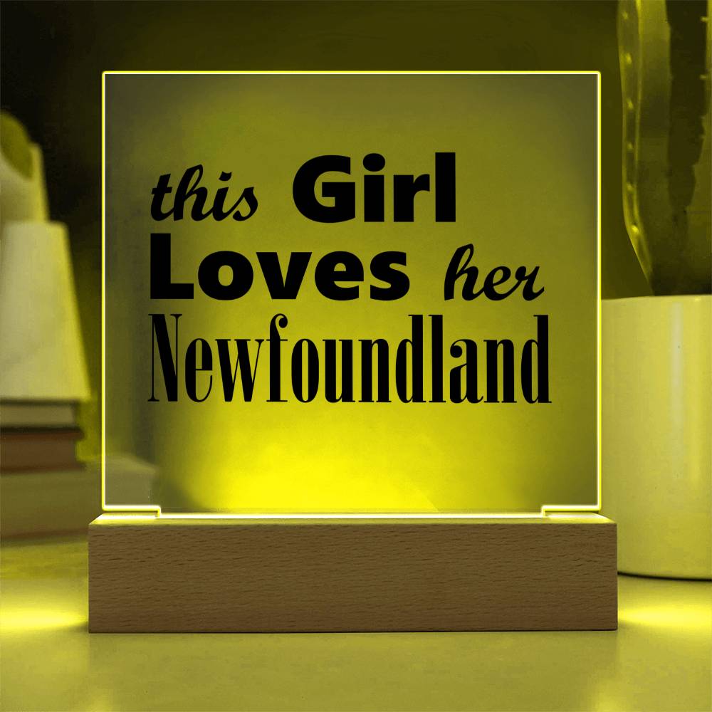 Newfoundland - Square Acrylic Plaque With LED Base