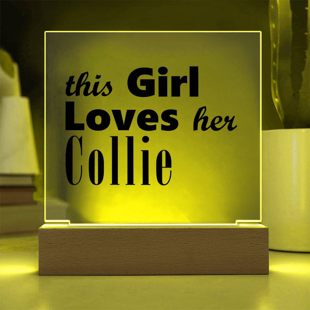 Collie - Square Acrylic Plaque With LED Base