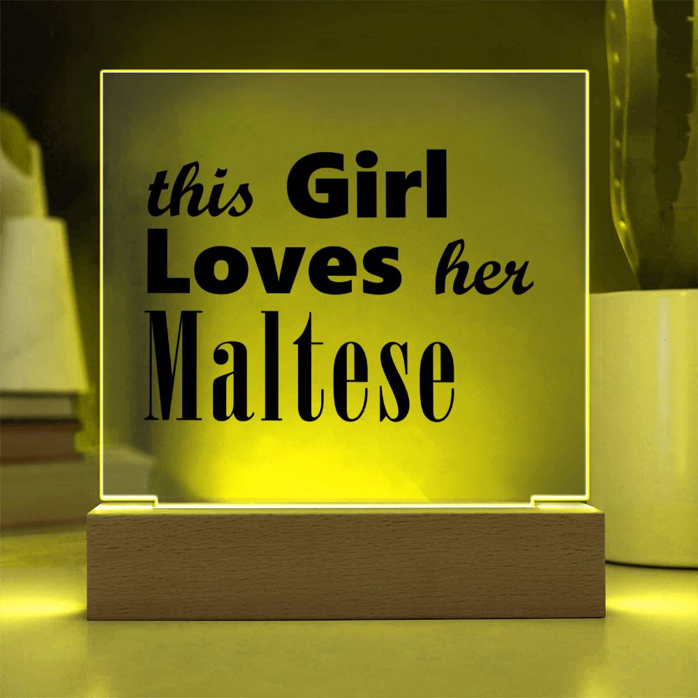 Maltese - Square Acrylic Plaque With LED Base
