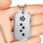 Mama Turtle With 4 Hatchlings - Luxury Dog Tag Necklace