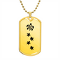 Mama Turtle With 4 Hatchlings - 18k Gold Finished Luxury Dog Tag Necklace
