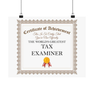 World's Greatest Tax Examiner - 14 in x 11 in Matte Poster