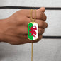 Welsh Flag - 18k Gold Finished Luxury Dog Tag Necklace