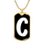 Initial C v3b - 18k Gold Finished Luxury Dog Tag Necklace