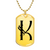 Initial K v001-31 - 18k Gold Finished Luxury Dog Tag Necklace