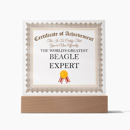 World's Greatest Beagle Expert - Square Acrylic Plaque