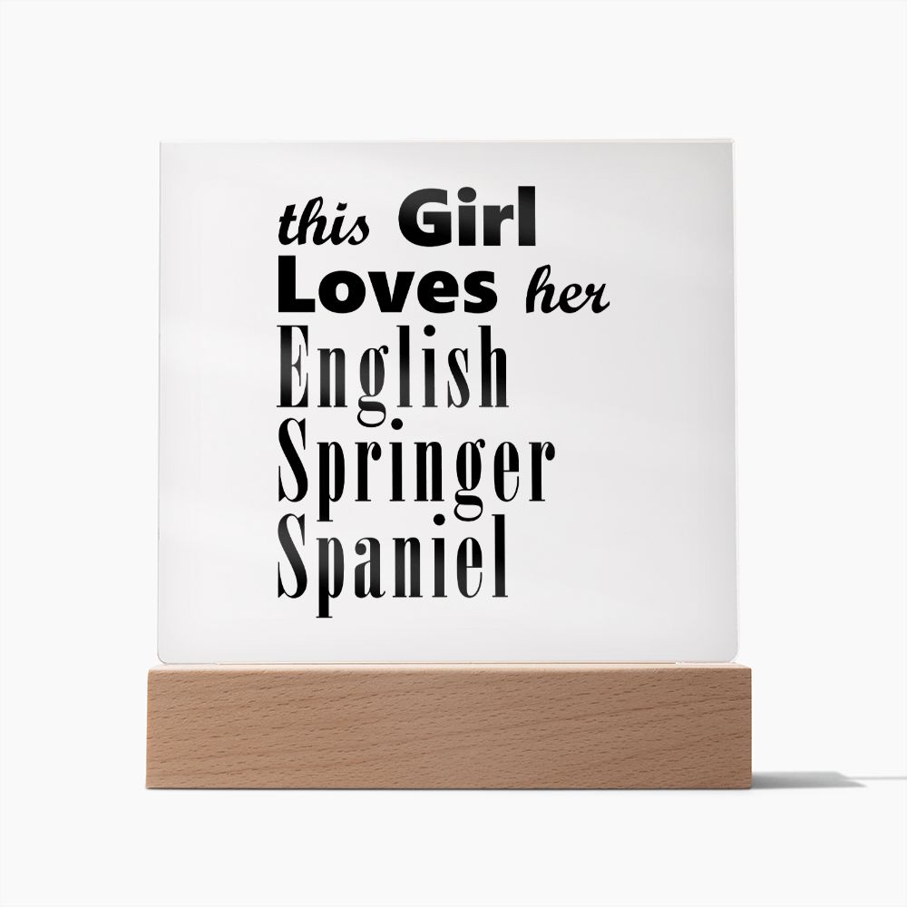 English Springer Spaniel - Square Acrylic Plaque