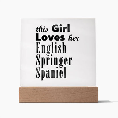 English Springer Spaniel - Square Acrylic Plaque