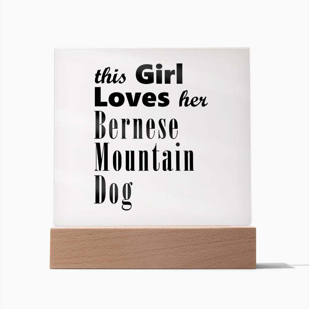 Bernese Mountain Dog - Square Acrylic Plaque
