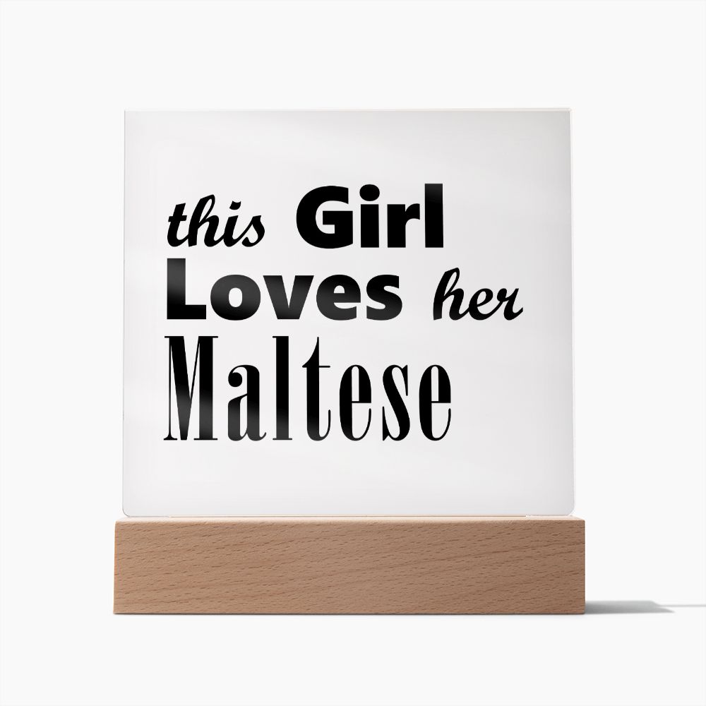 Maltese - Square Acrylic Plaque
