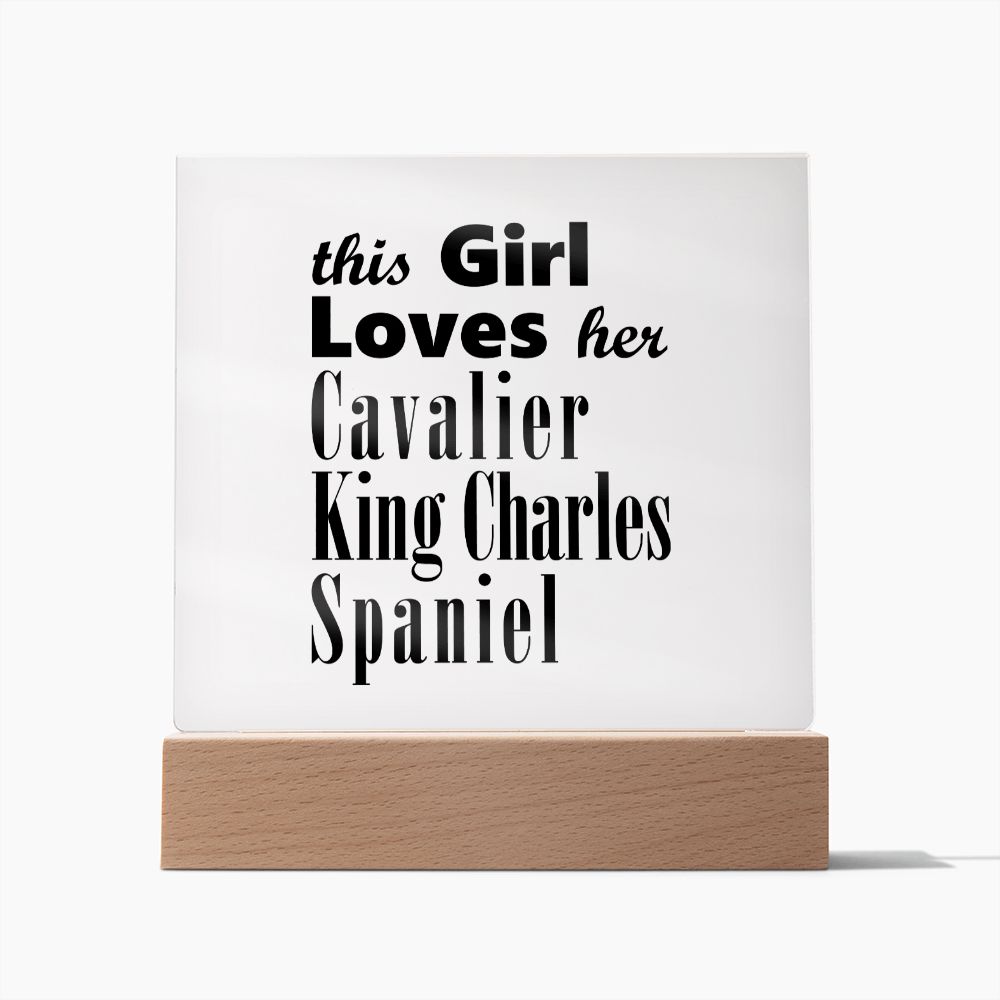 Cavalier King Charles Spaniel - Square Acrylic Plaque