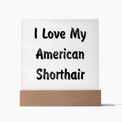Love My American Shorthair - Square Acrylic Plaque