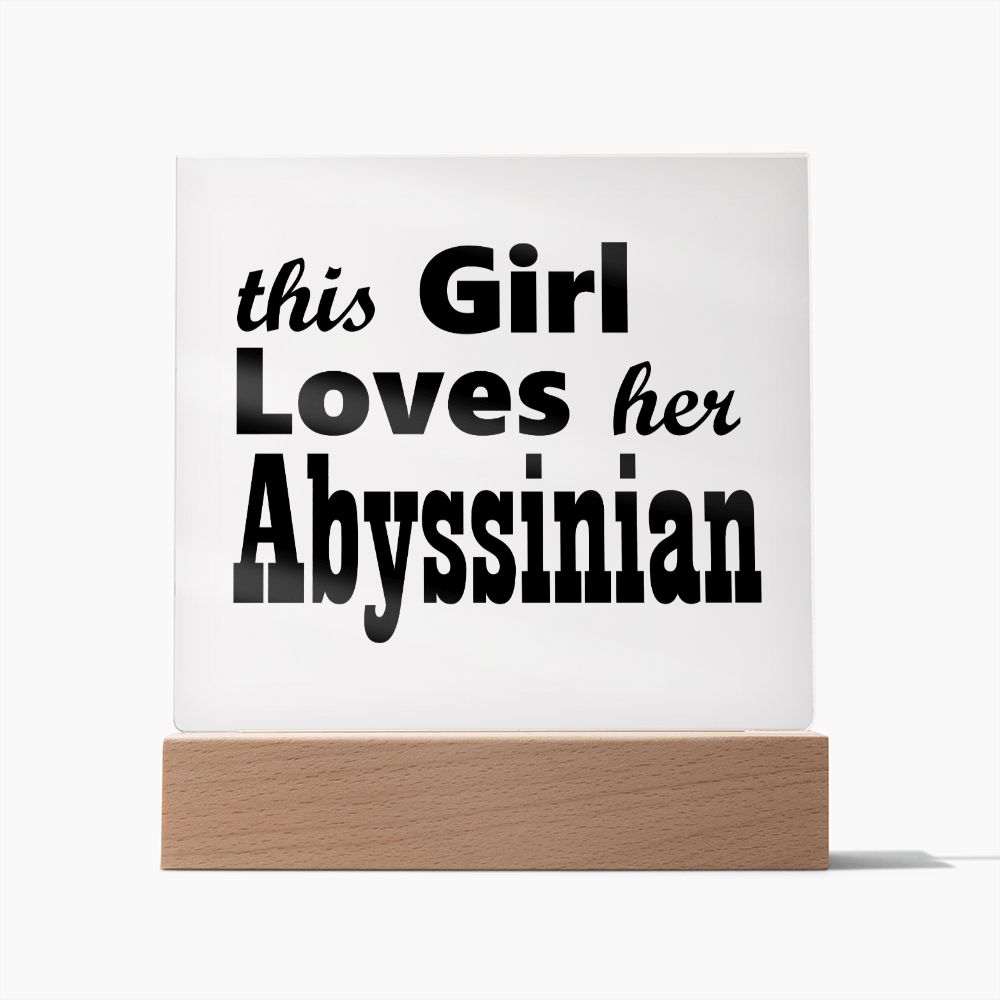Abyssinian - Square Acrylic Plaque