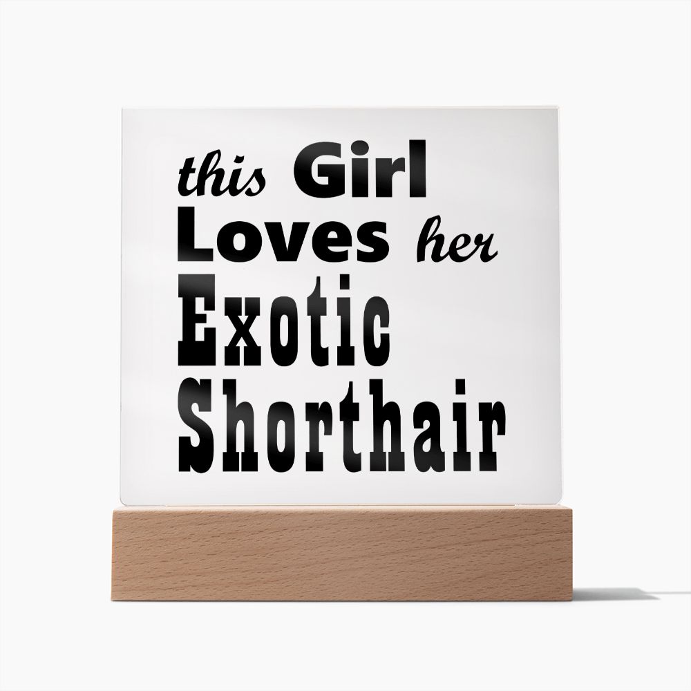 Exotic Shorthair - Square Acrylic Plaque