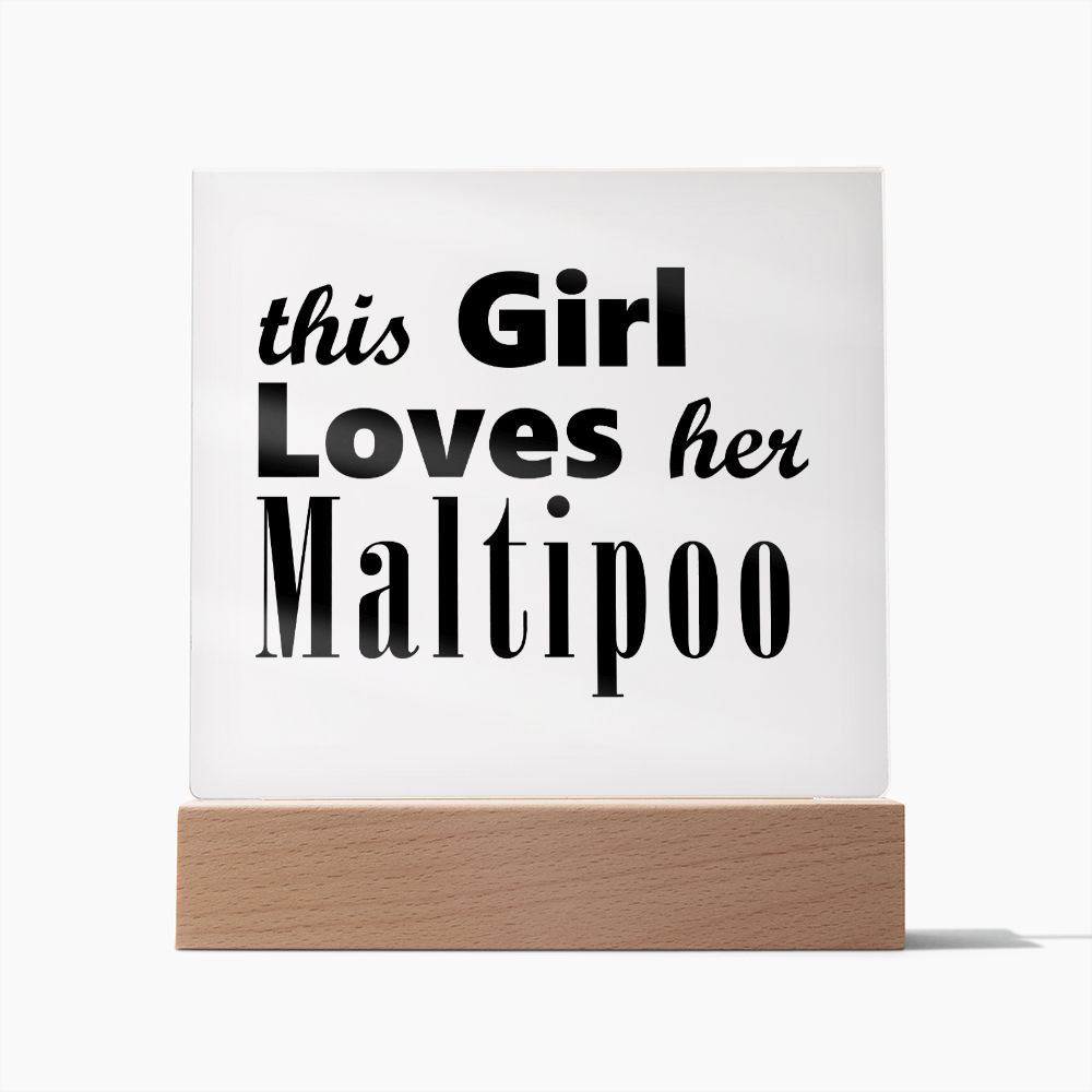 Maltipoo - Square Acrylic Plaque