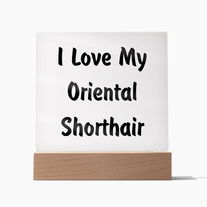 Love My Oriental Shorthair - Square Acrylic Plaque