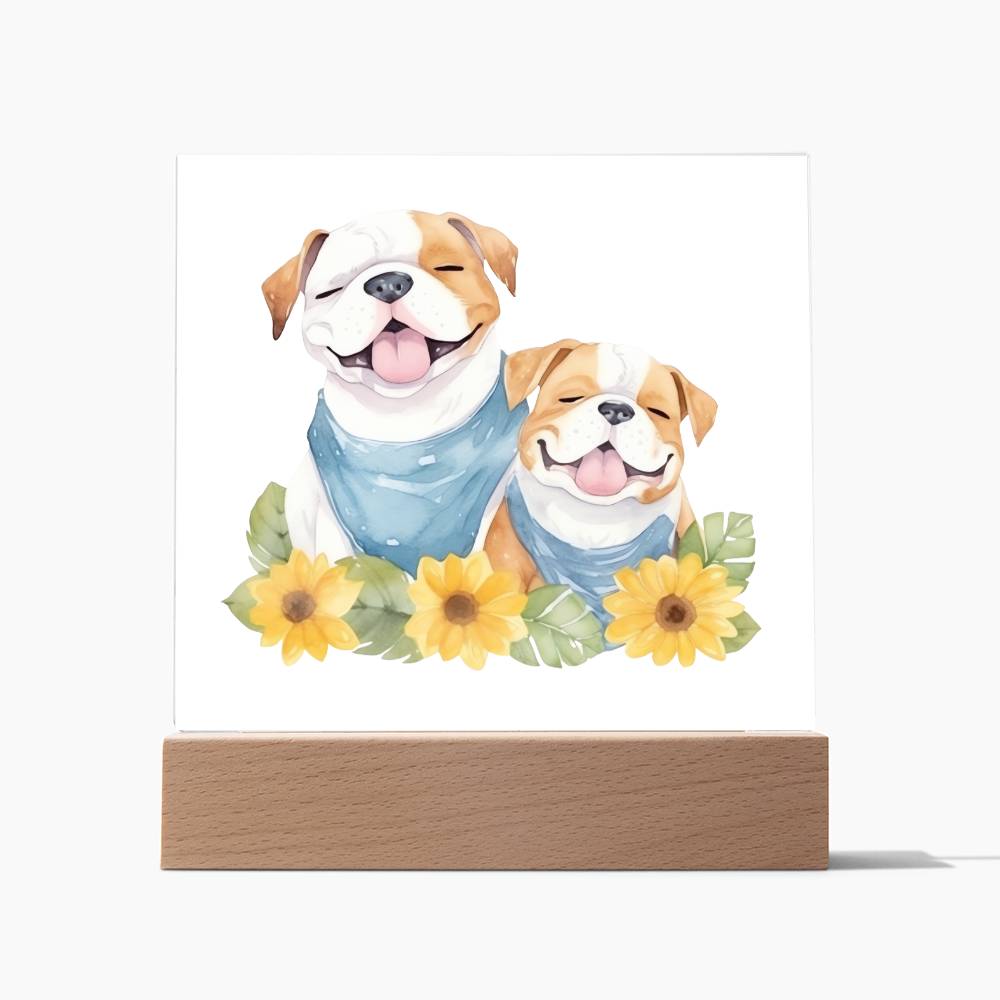 Bulldog And Flowers (Watercolor) 05 - Square Acrylic Plaque