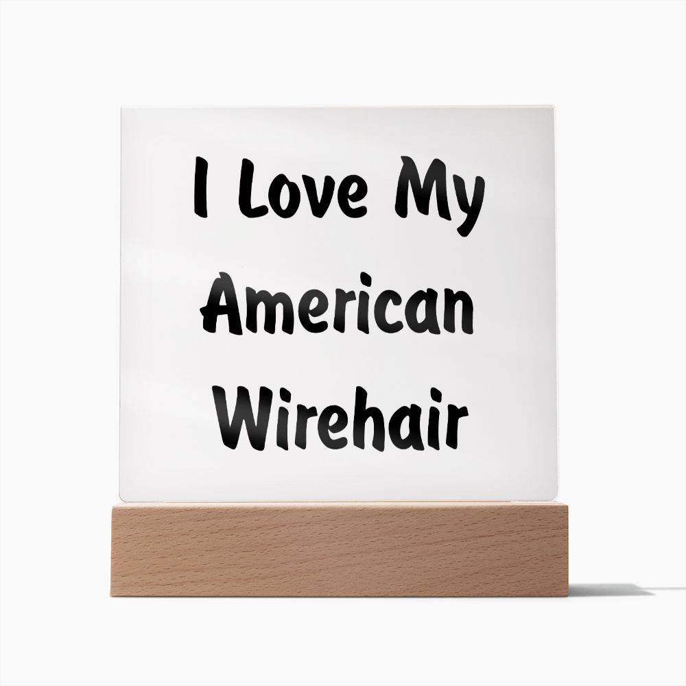 Love My American Wirehair - Square Acrylic Plaque