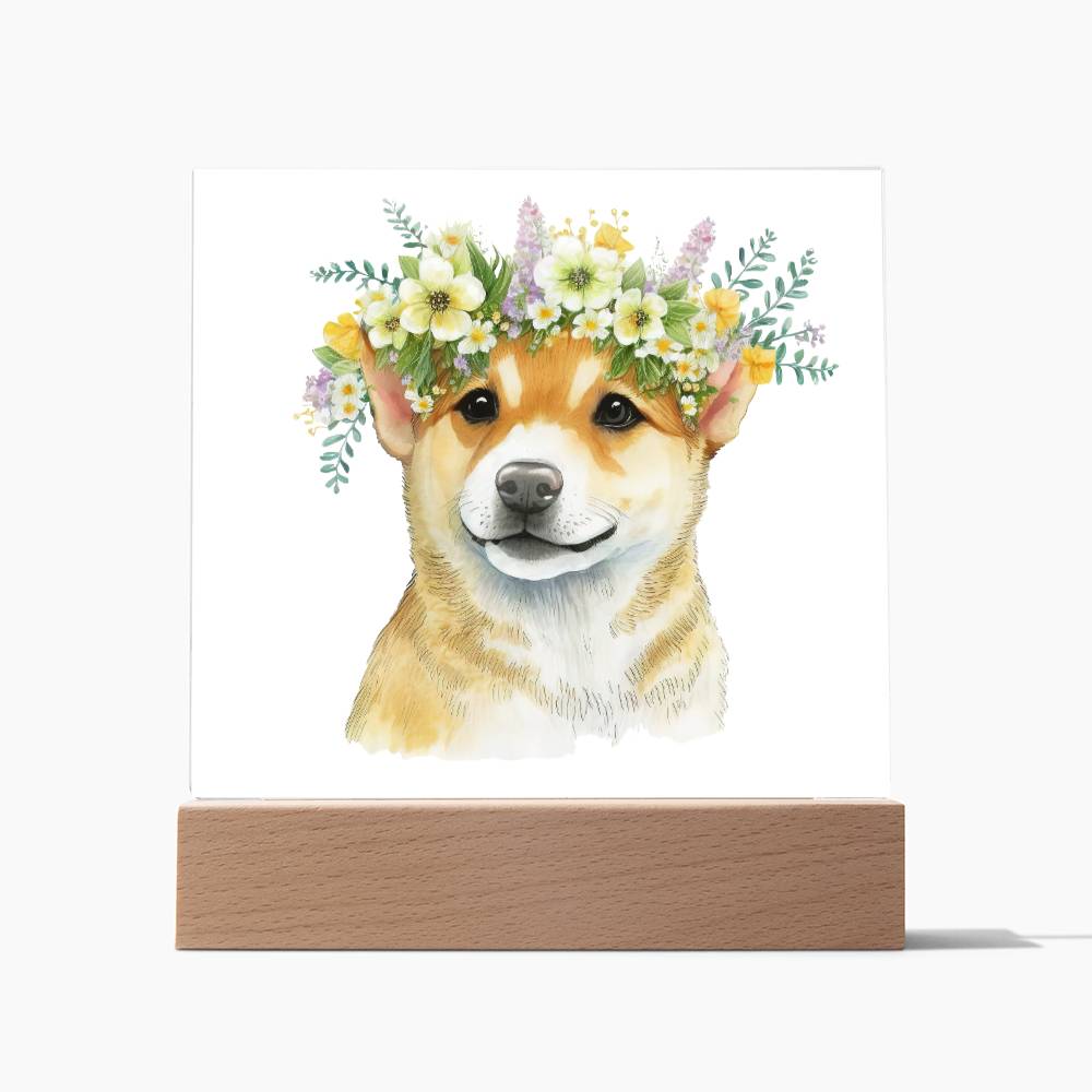 Dog And Spring Flowers (Watercolor) 06 - Square Acrylic Plaque