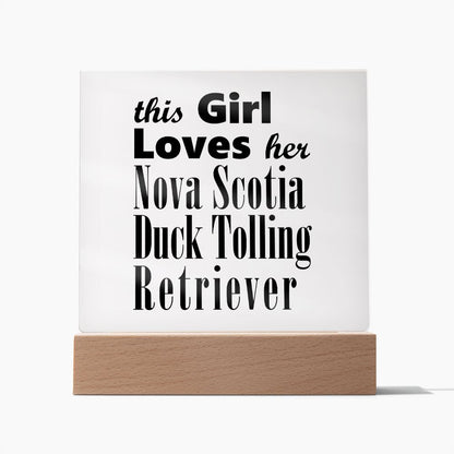 Nova Scotia Duck Tolling Retriever - Square Acrylic Plaque