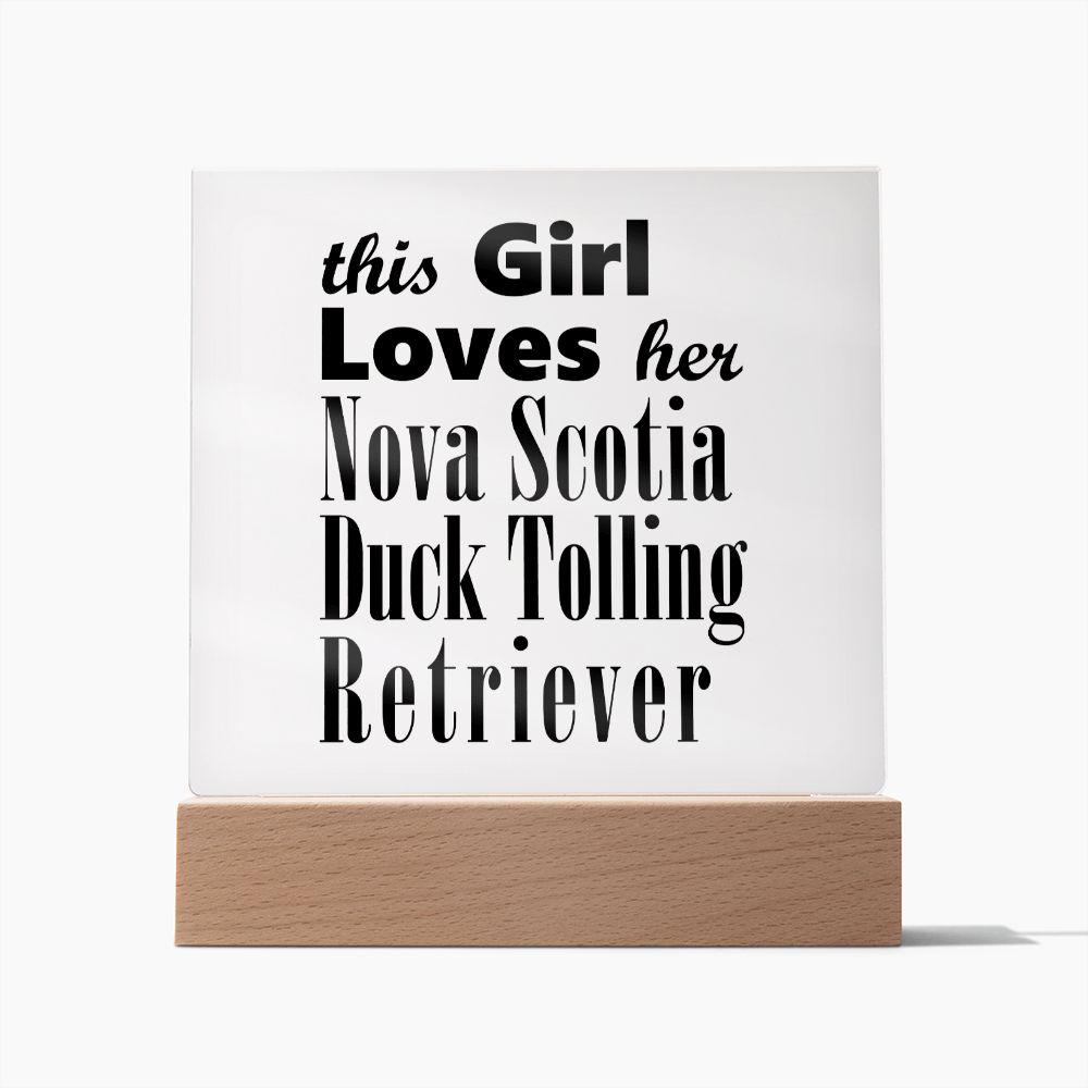 Nova Scotia Duck Tolling Retriever - Square Acrylic Plaque