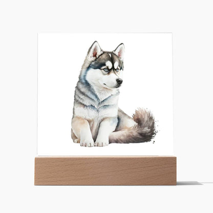 Dog Lover Collection (Watercolor) 04 - Square Acrylic Plaque