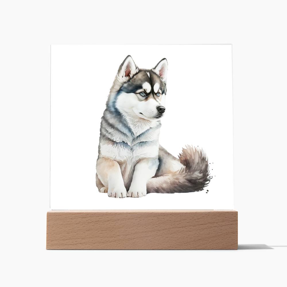 Dog Lover Collection (Watercolor) 04 - Square Acrylic Plaque