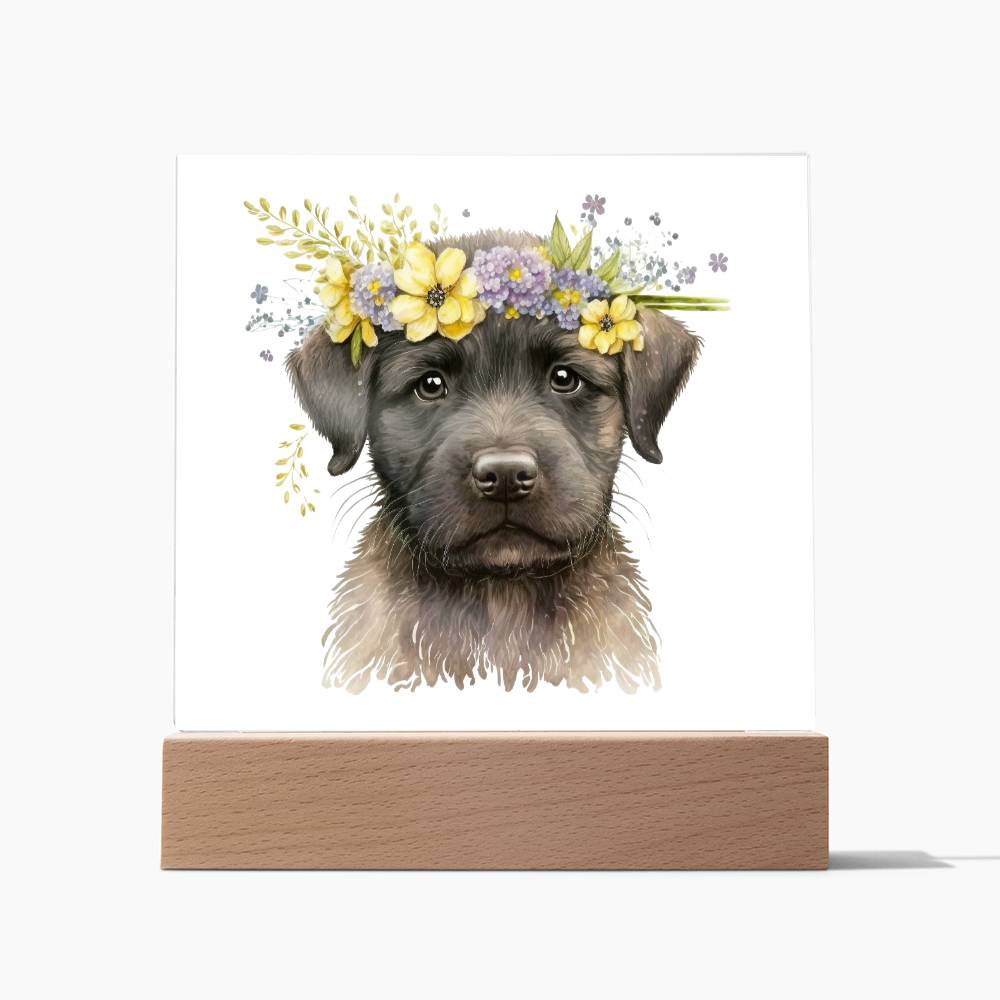 Dog And Spring Flowers (Watercolor) 08 - Square Acrylic Plaque