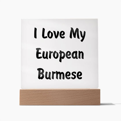 Love My European Burmese - Square Acrylic Plaque