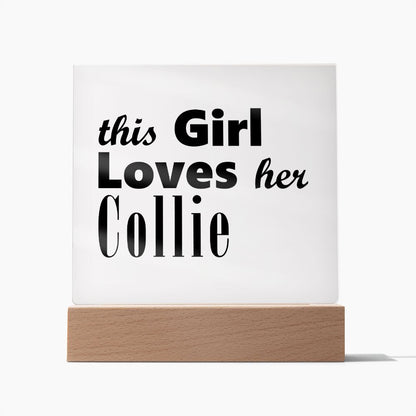 Collie - Square Acrylic Plaque