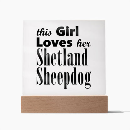 Shetland Sheepdog - Square Acrylic Plaque