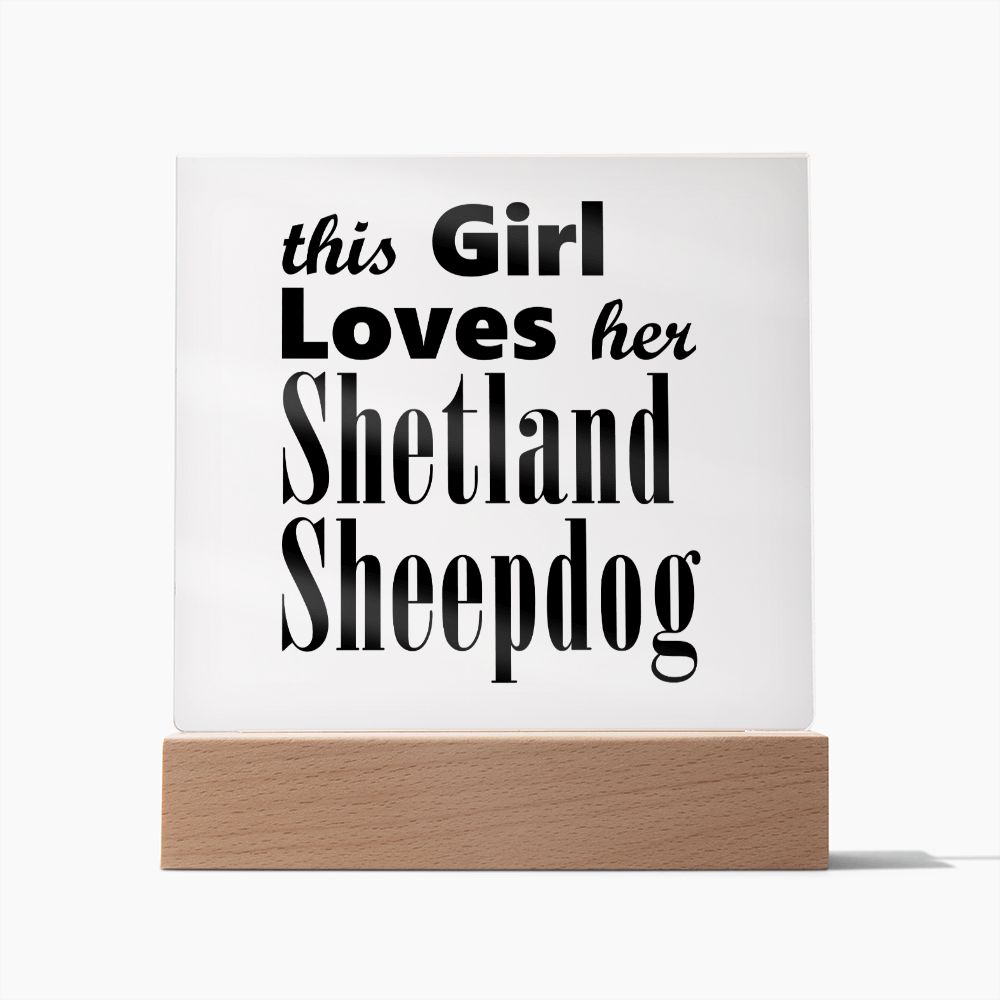 Shetland Sheepdog - Square Acrylic Plaque
