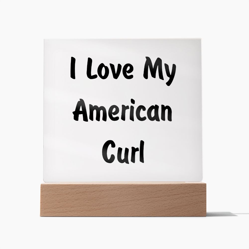 Love My American Curl - Square Acrylic Plaque
