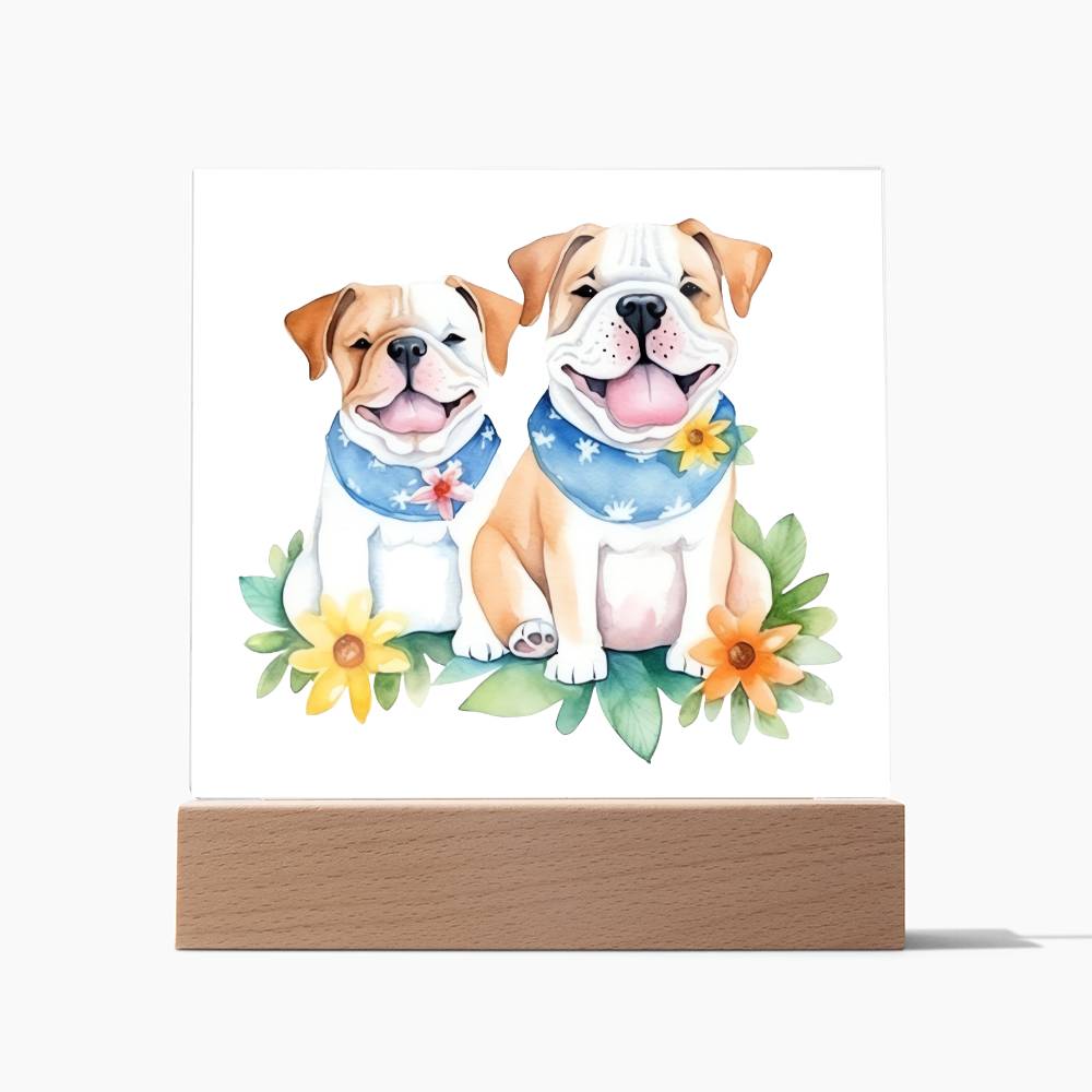 Bulldog And Flowers (Watercolor) 03 - Square Acrylic Plaque