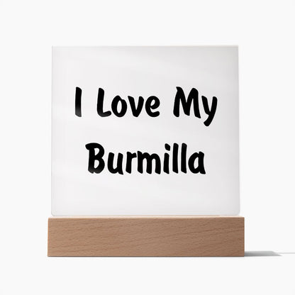 Love My Burmilla - Square Acrylic Plaque