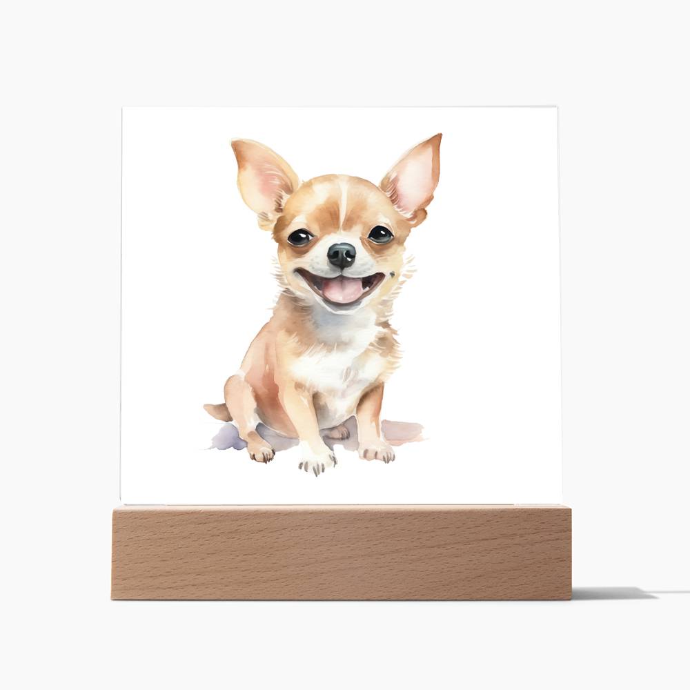 Chihuahua (Watercolor) 01 - Square Acrylic Plaque