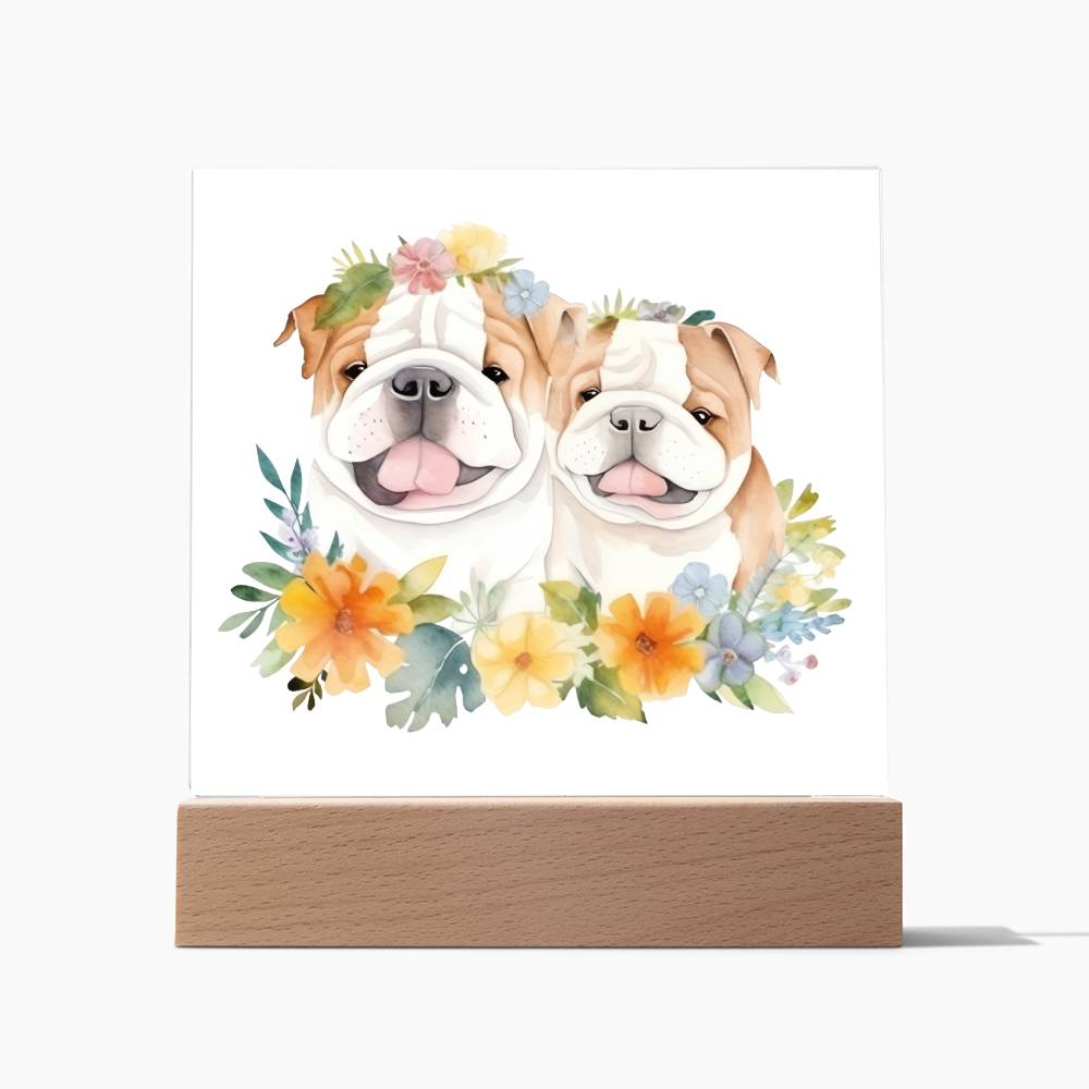 Bulldog And Flowers (Watercolor) 02 - Square Acrylic Plaque