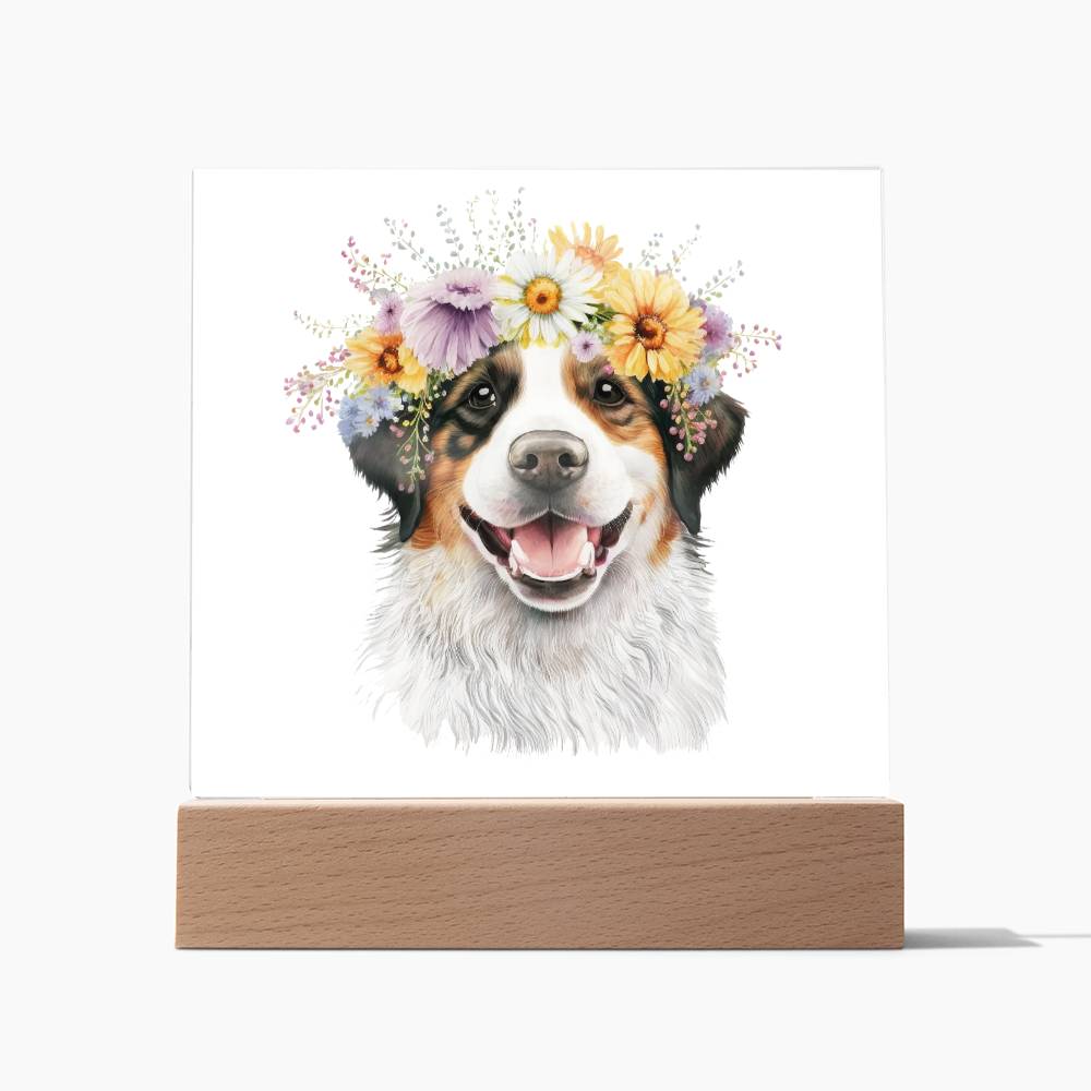 Dog And Spring Flowers (Watercolor) 09 - Square Acrylic Plaque